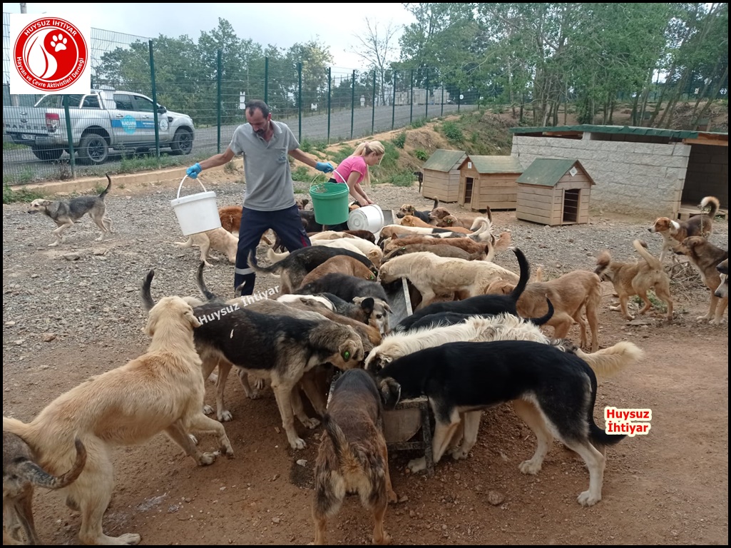huysuzihtiyardg's tweet photo. 714. Pazar Beykoz Orman Beslemesi
Siz açlık nedir bilir misiniz ? https://t.co/Xld5nJVTpY 0532 630 53 99 
#dogs #Turkey #köpek #kitty #su #umraniye #sisli #uskudar #kadikoy #besiktas #beykoz #tuzla #maltepe #kartal #samandira #sultanbeyligi #sancaktepe #İstanbul #keşfet #travel https://t.co/hWT4z8bVqq