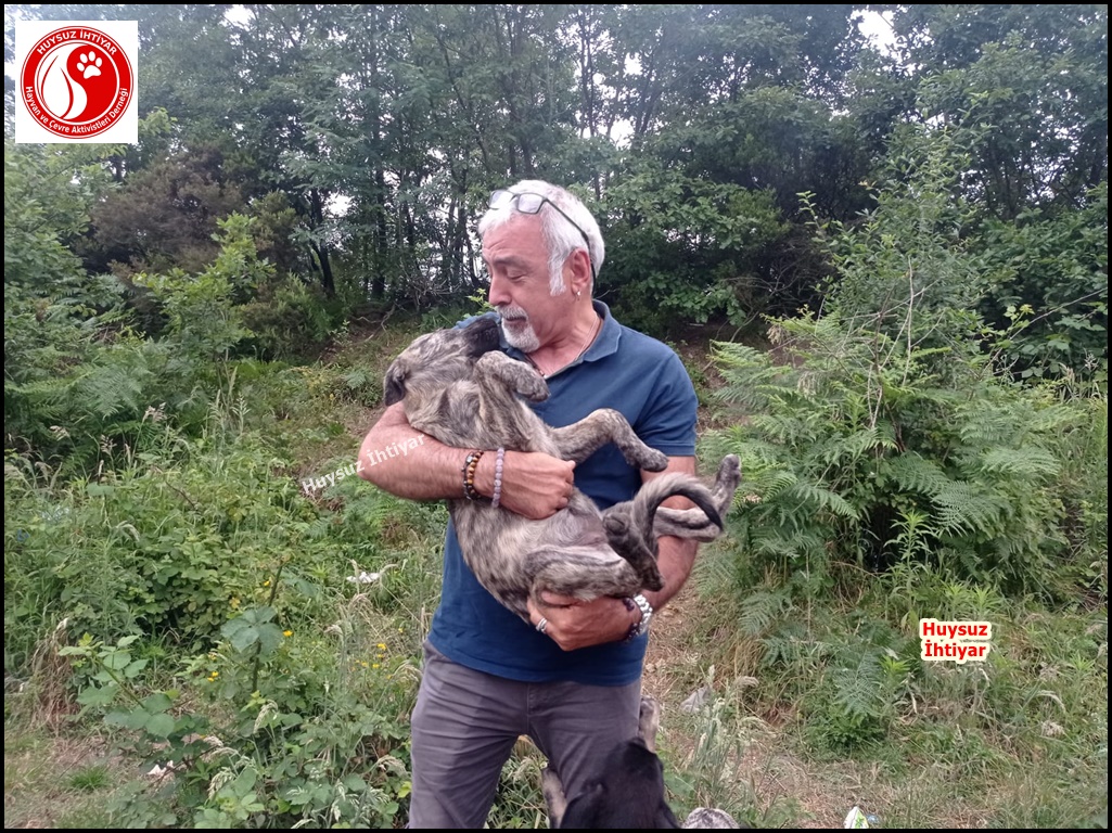 huysuzihtiyardg's tweet photo. 714. Pazar Beykoz Orman Beslemesi
Siz açlık nedir bilir misiniz ? https://t.co/Xld5nJVTpY 0532 630 53 99 
#dogs #Turkey #köpek #kitty #su #umraniye #sisli #uskudar #kadikoy #besiktas #beykoz #tuzla #maltepe #kartal #samandira #sultanbeyligi #sancaktepe #İstanbul #keşfet #travel https://t.co/hWT4z8bVqq