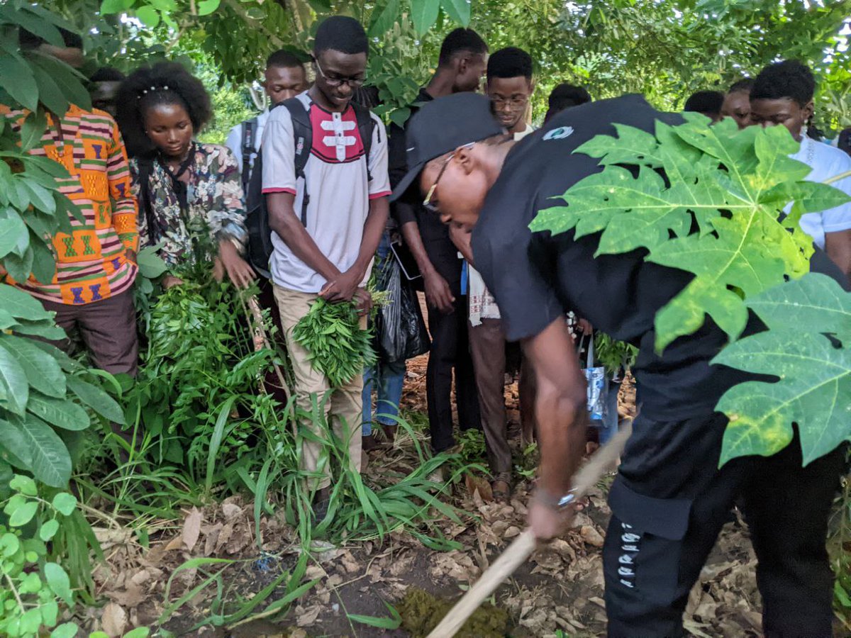 TuelaAct's tweet photo. L'action du neem dans la gestion durable des sols.
Le neem dans la restauration, réhabilitation, conservation, protection et fertilisation des sols. Dans le cadre de l'Axe 1 du programme ReProSol qui met l'accent sur la gestion durable des sols. https://t.co/xJLOJ6JiLm