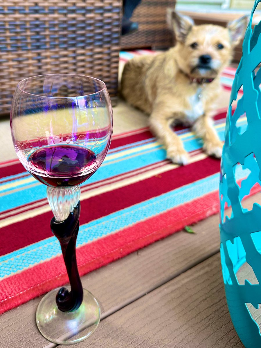 #wineglassselectionoftheevening 🍷 #roxy #enjoywine #wineglass #wineglasscollection #winelover #winolicious #wineoclock #wine #winetime #winenot #wineveryday #winelove #winelovers #wineallthetime #wineallday #winewithfriends #wineloversclub #cheers ##vino #puppy #puppylove