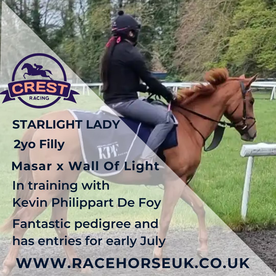 Do you fancy getting involved with a horse with an incredible pedigree? This stunning Derby-winning Masar 2yo filly impresses everyone who sees her, including her trainer @kpfracing. Limited syndicate shares are now available from @CrestRacing1. racehorseuk.co.uk