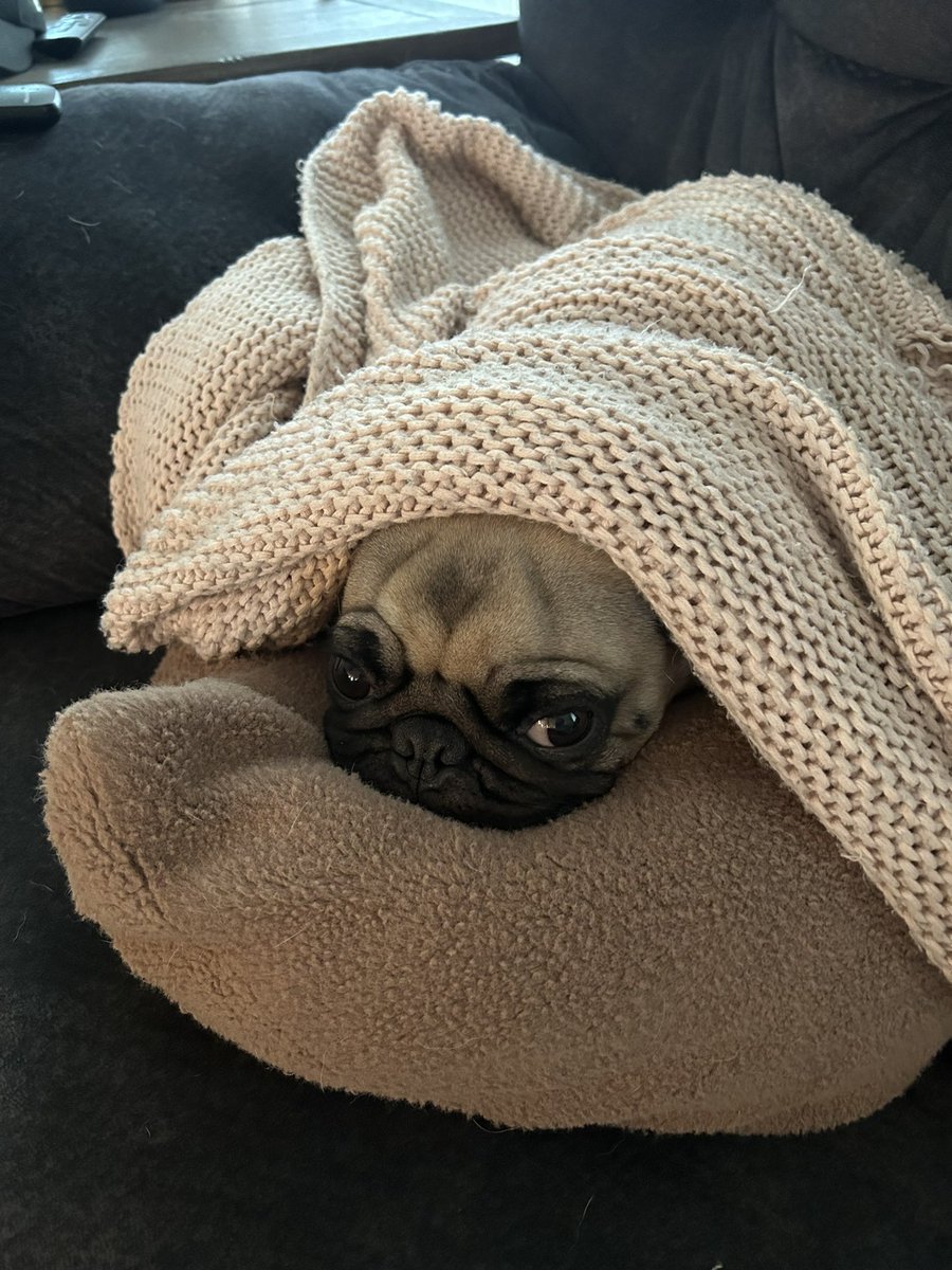 this is how we spend our sundays