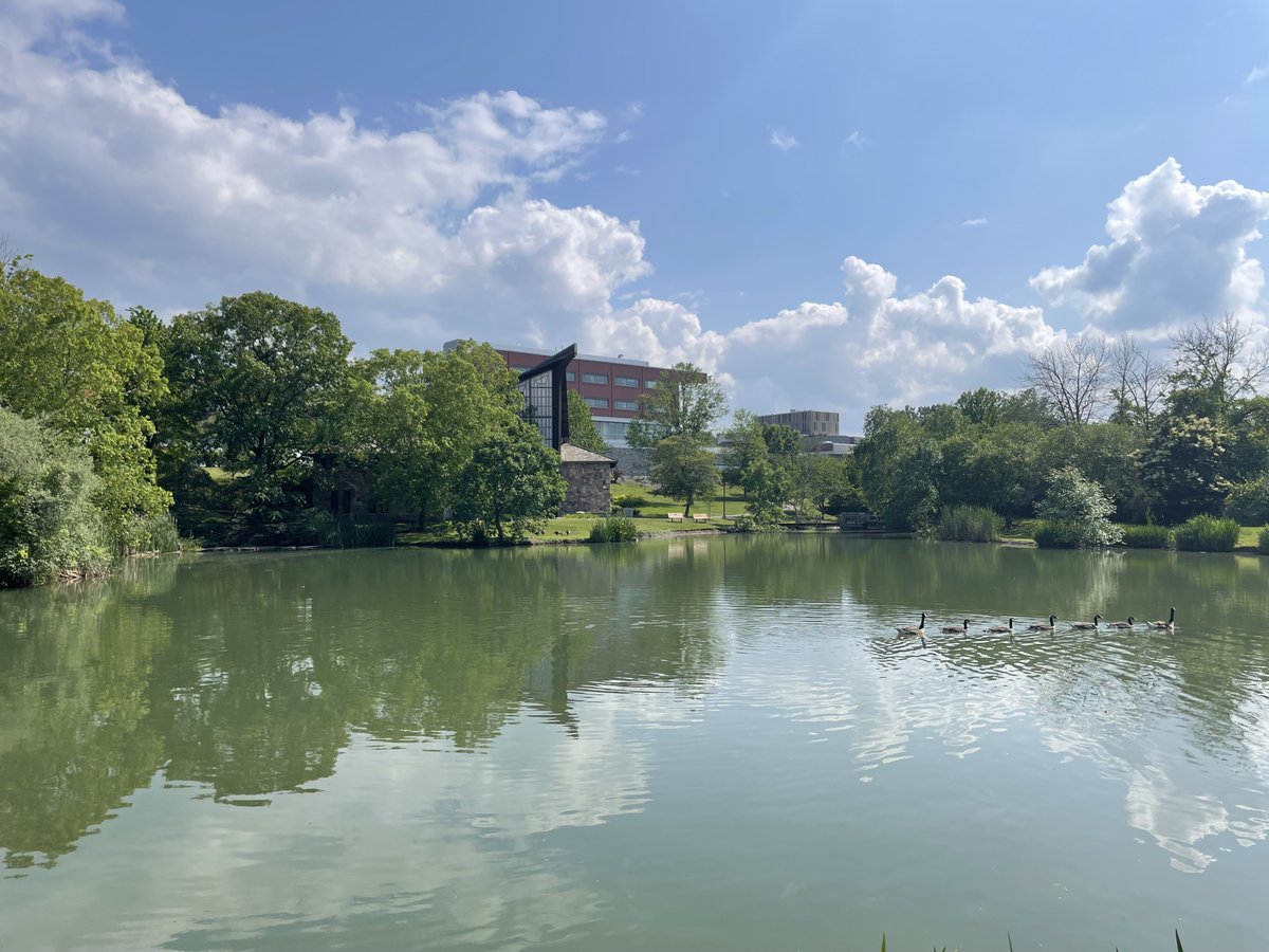 Sundays on South Hill ☀️🏈

#OneBeat | #GoBombers