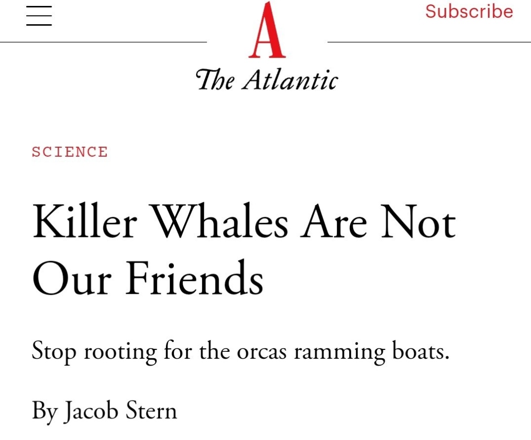 One suspects that it is the yacht owners who are not our friends.