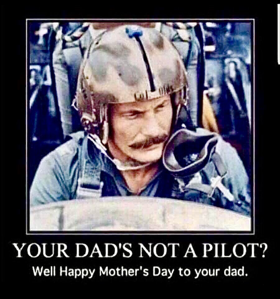 #pilotmeme #aviator #pilot #flying #FathersDay2023