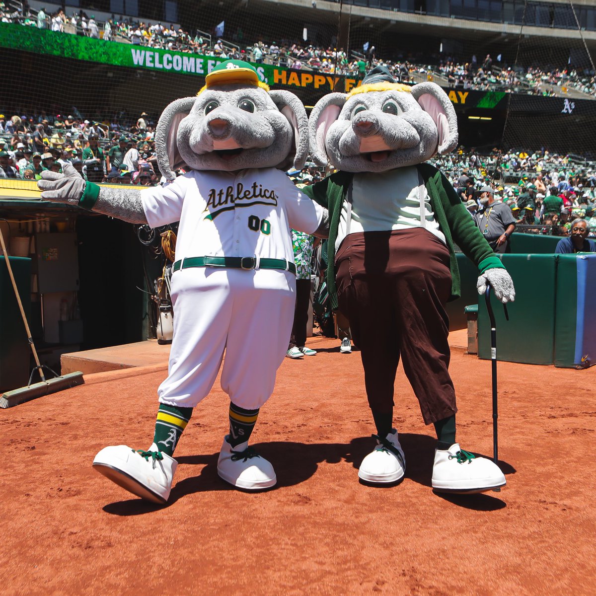 Happy Father’s Day! 🐘