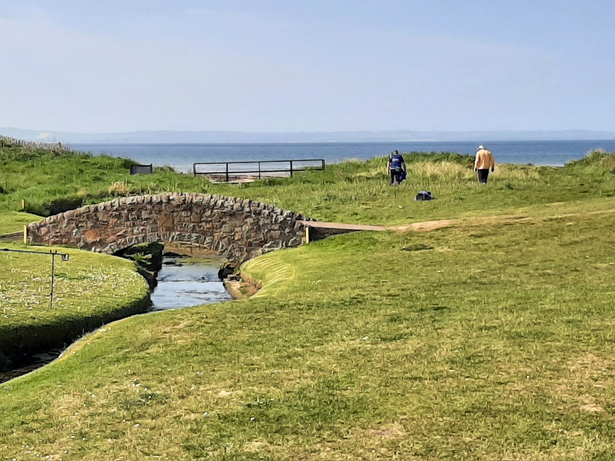 Looking for a lost ball #northberwickgolf #Scotland #linkscourse #lostball #foundball #sunnyday #greatmemory