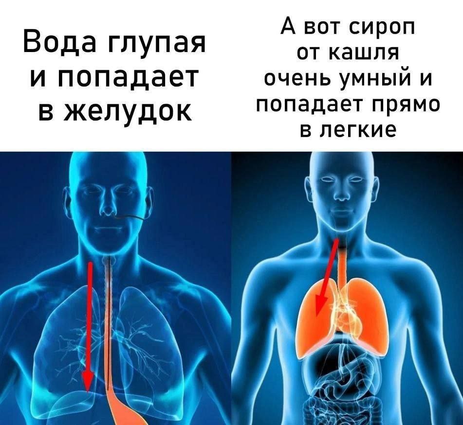 Пьяный Твиттер (@drunktwi) on Twitter photo 