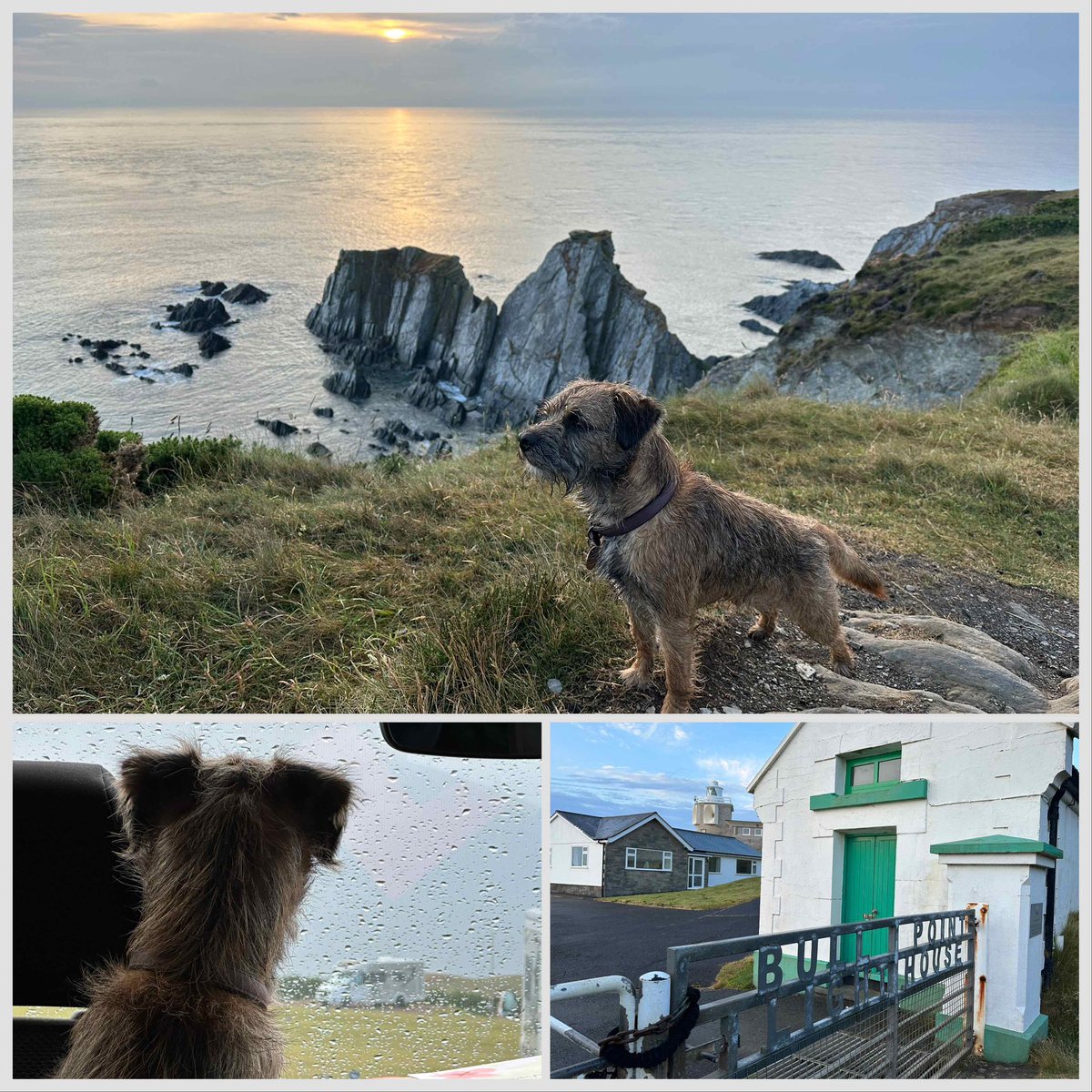 New area explore in North Devon pals. Walk to Bull Point Lighthouse after the rain 🐾🐾😊#BTposse #northdevon #lighthouse