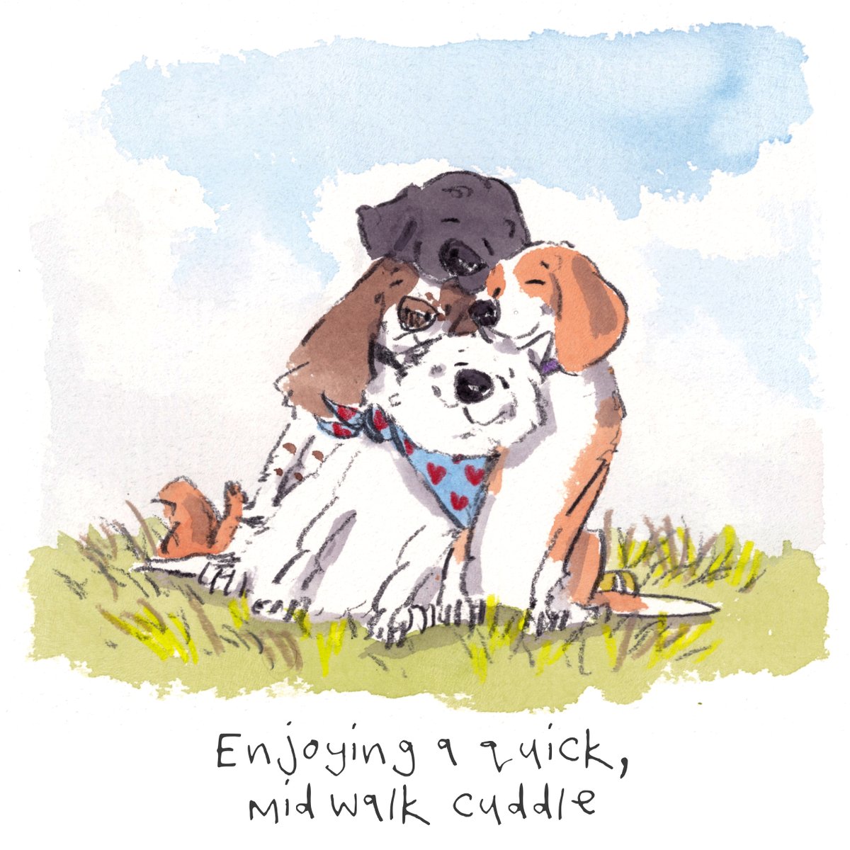 Good night, lovely people and lovely dogs.
I'm wishing you the very best for the week to come.
Sleep well and sweet dreams. 
#hoorayfordogs #springer #labrador #westie #beagle #redsquirrel #cuddle