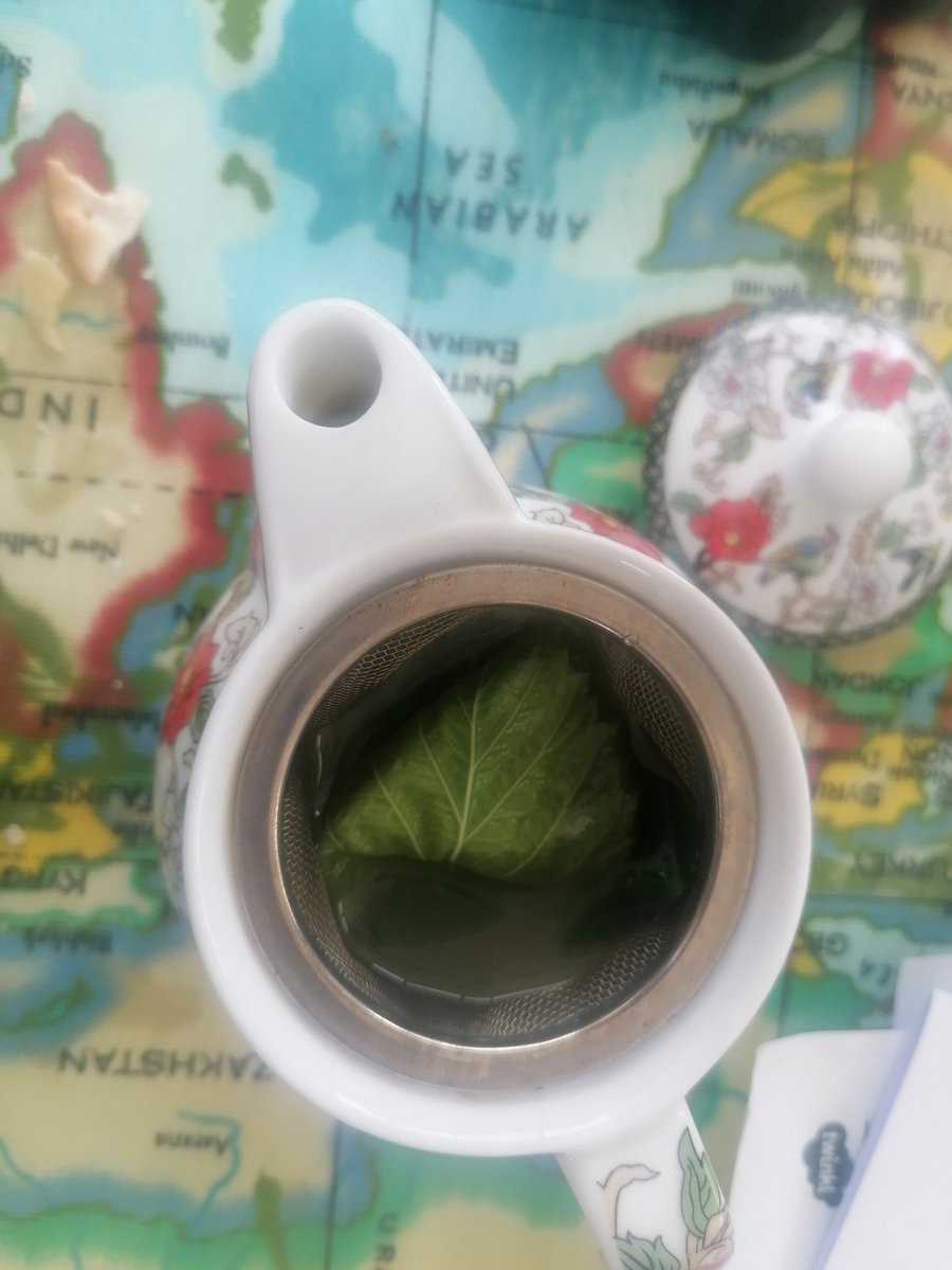 Lovely mint and raspberry leaf tea as a nightcap 🍃🍵😋 #GIY #urbanliving #zerofoodmiles