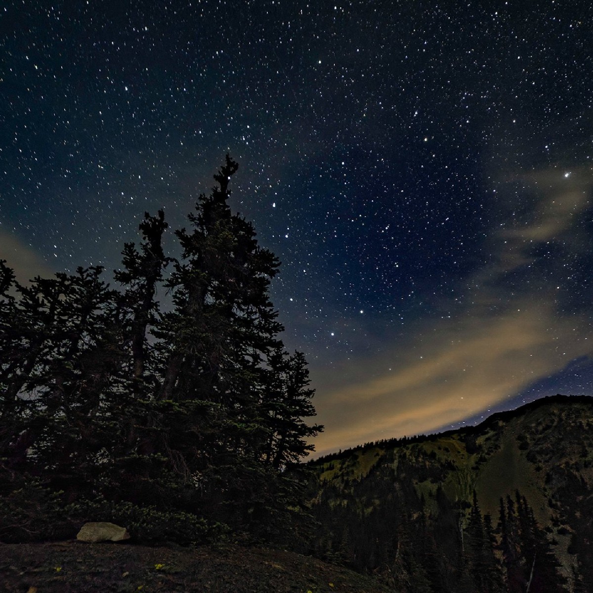 Anyone else looking forward to summer night skies? 🌟 📸: Mountain Tech Harry Christensen #summernights #starrysky #sweetdreams