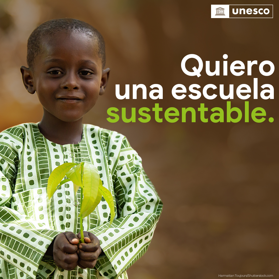 UNESCO_es's tweet photo. Alumnos. Profesores. Libros de texto. Escuelas. La #Educación en su conjunto debe transformarse para responder a la crisis climática y medioambiental mundial.
https://t.co/fqkeRq7En9  #AprenderPorNuestroPlaneta #DíaMundialDelMedioAmbiente https://t.co/VY5rVaAO1g