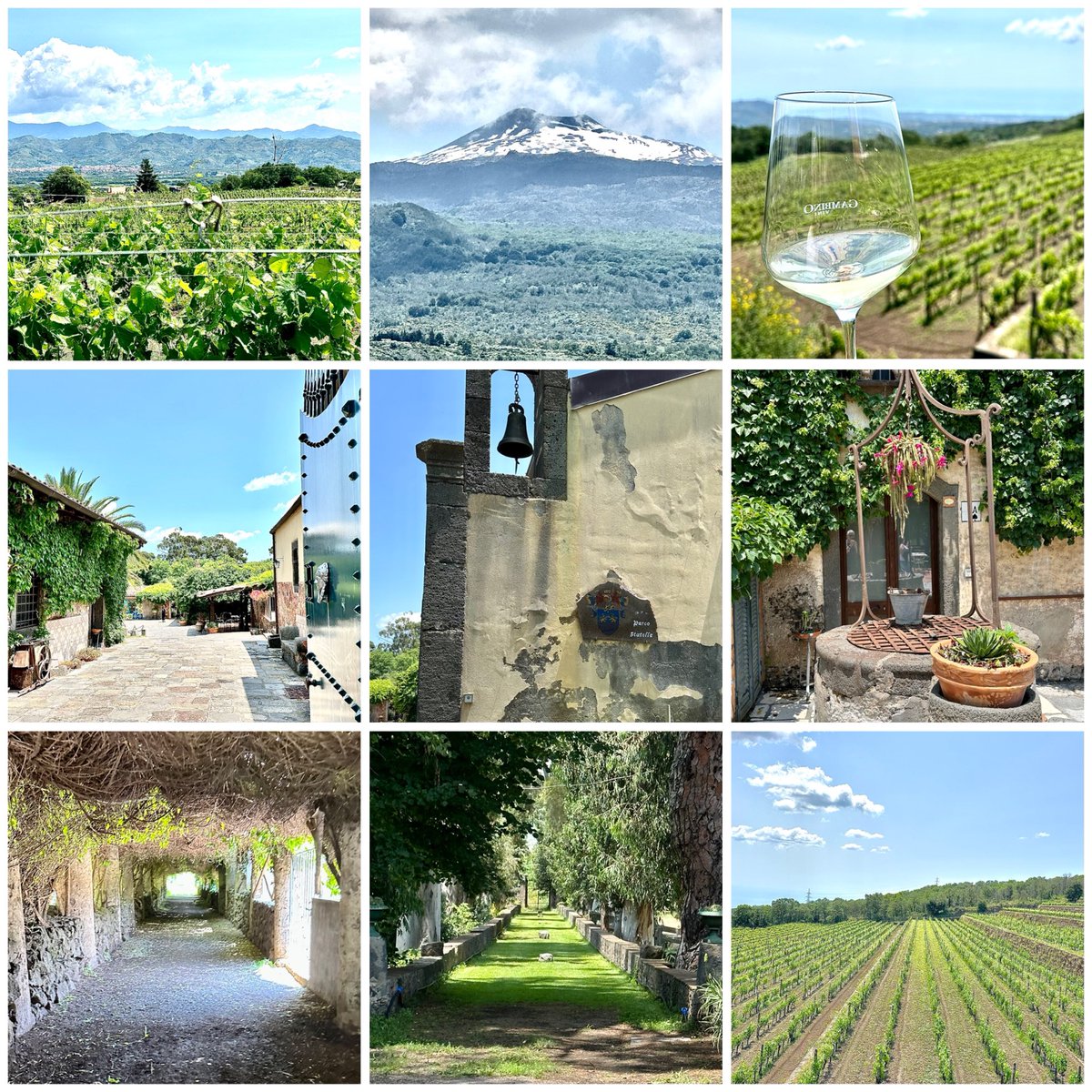 MikeKyrios's tweet photo. Mt Etna wine tasting @ Gambino Winery &amp; lunch. Mt Etna wines have been a long-time obsession. To be here conversing with the winemakers &amp; tasting the latest reserve wines on the slopes of Etna was an absolute pleasure &amp; privilege. #gambinovini #theOdysseycontinues  #loveSicily https://t.co/jkWPckmGGt