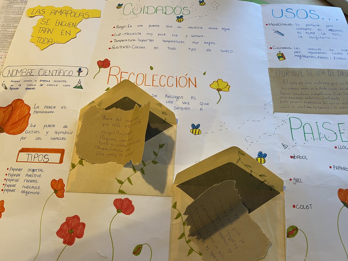 bertaeco's tweet image. El alumnado me vuelve a impresionar con su creatividad y buen hacer. Hemos hecho un arboreto con especies de la huerta y de nuestro bosque. #arboretocondesplegables #foldables #educarfueradelaula #laescuelaacieloabierto #arboretocreativo #iniciativaemprendedora