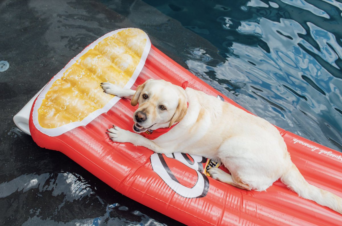 Raising Cane's tweet media