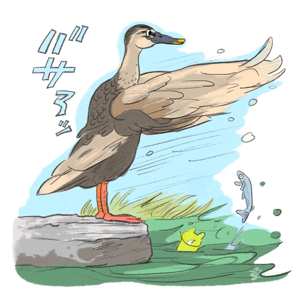 最近久しぶりに近所の川にカルガモが来てくれるように！春終わりから姿が見かけなくなっていたのですが、嬉しいです！見てると立ち上がってバサバサと力強い羽ばたきをみせてくれました。ジメジメした梅雨も吹き飛ばせ！ https://t.co/p98wQO8MCu