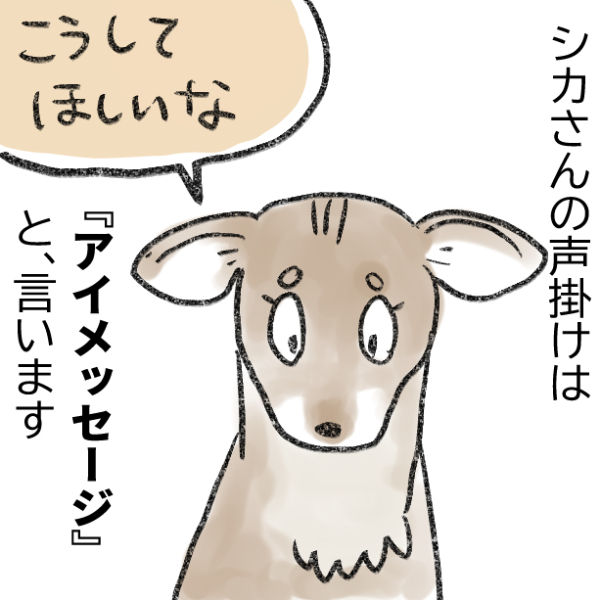 13 https://t.co/UEBXRDdmnk