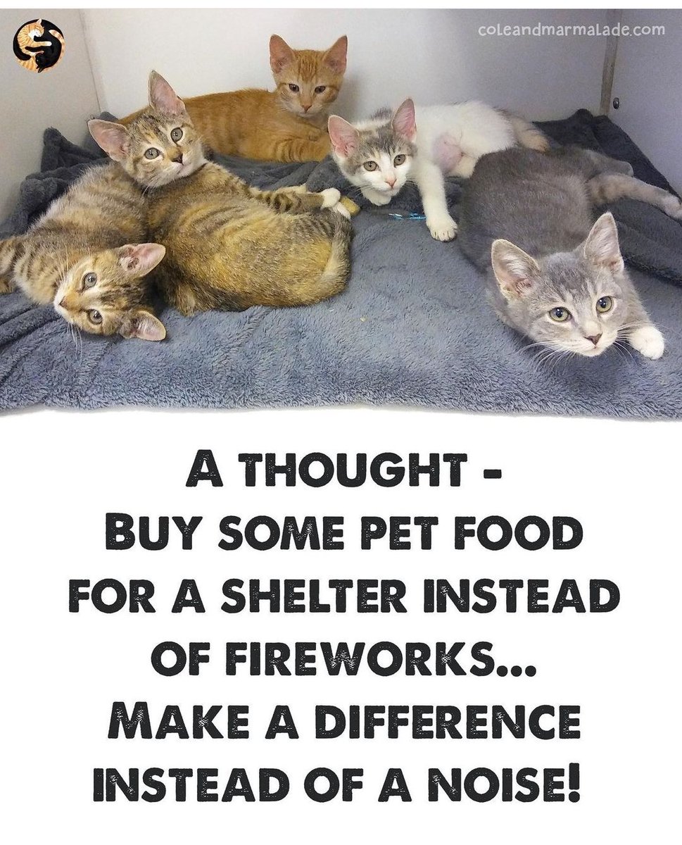 PetParentsPlace's tweet photo. Please consider this when doing your party planning.

Thanks so much.  ❤️

https://t.co/6yTigGbmLQ https://t.co/OE9cHzZWx7