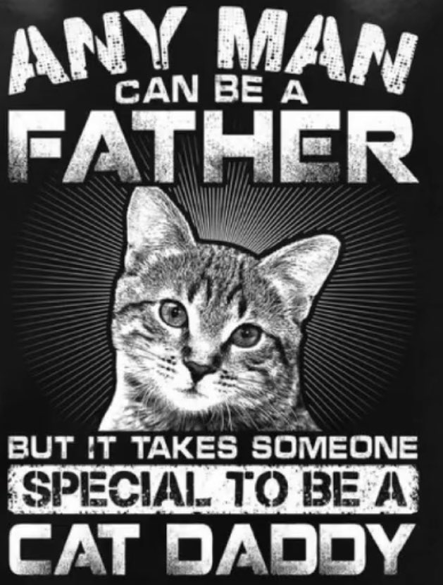 sads_in_plaids's tweet photo. 🚨ANY😆 man 🤢🤢 can b a 
FATHER👨‍👨‍👦
But☝️it takes someone 🤩SPECIAL🤩to be a 😻CAT DADDY😻💪🚨 https://t.co/FLprQYpmvy