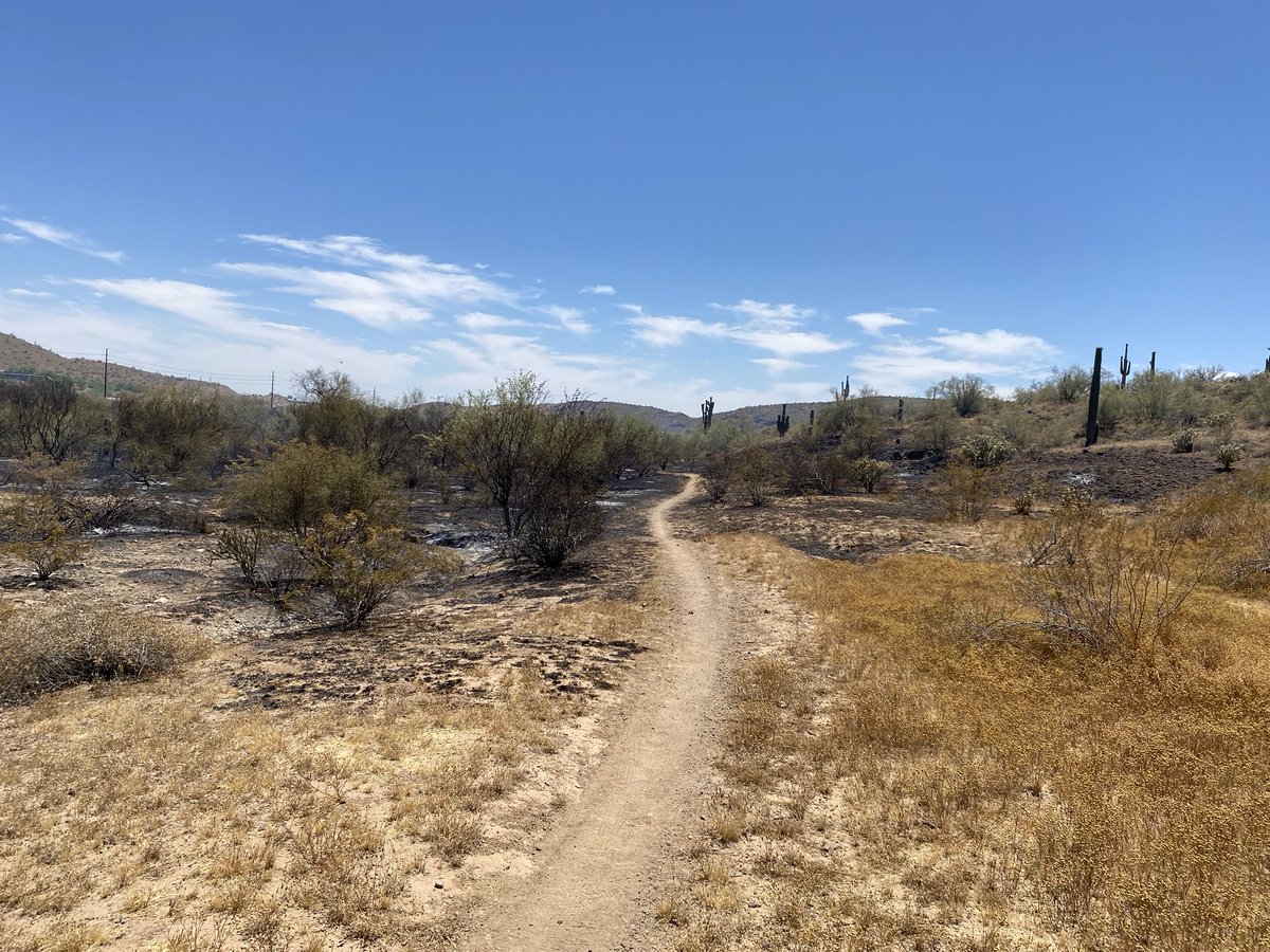 This morning, our crews, along w/ @PHXFire, @BLMAZFire, & @azstateforestry did a great job fighting a brush fire near Pioneer Rd and west of the I-17. The fire was held to approximately 15 acres and the cause is unknown. No firefighter injuries were reported.