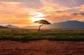 AscaOnlus's tweet photo. Una sola cosa allora volevo: tornare in Africa. 
Non l’avevo ancora lasciata, ma ogni volta che mi svegliavo, di notte, tendevo l’orecchio, pervaso di nostalgia.
(Ernest Hemingway)

Le retour à la mère Afrique
Il ritorno alla mamma Africa...

#mission #africa #africamonamour https://t.co/cTBCJxH3hY
