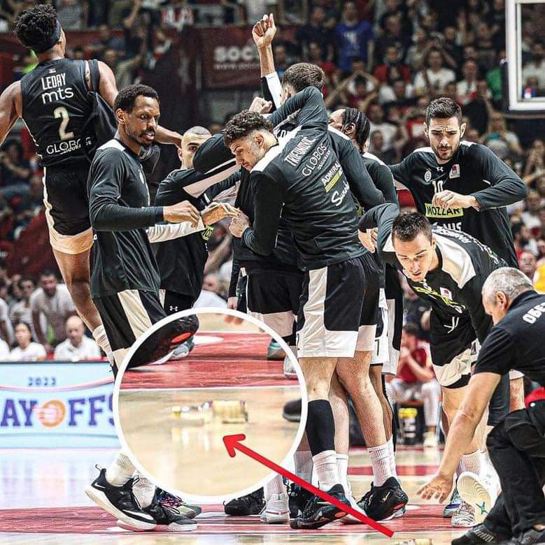 Macan 🐾⚫️⚪️🇷🇸 tweet media