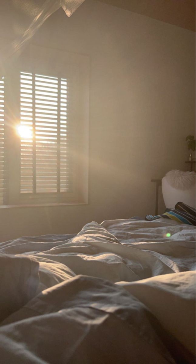 #bottomdazaiweek #soukoku

day 1 
happy birthday!