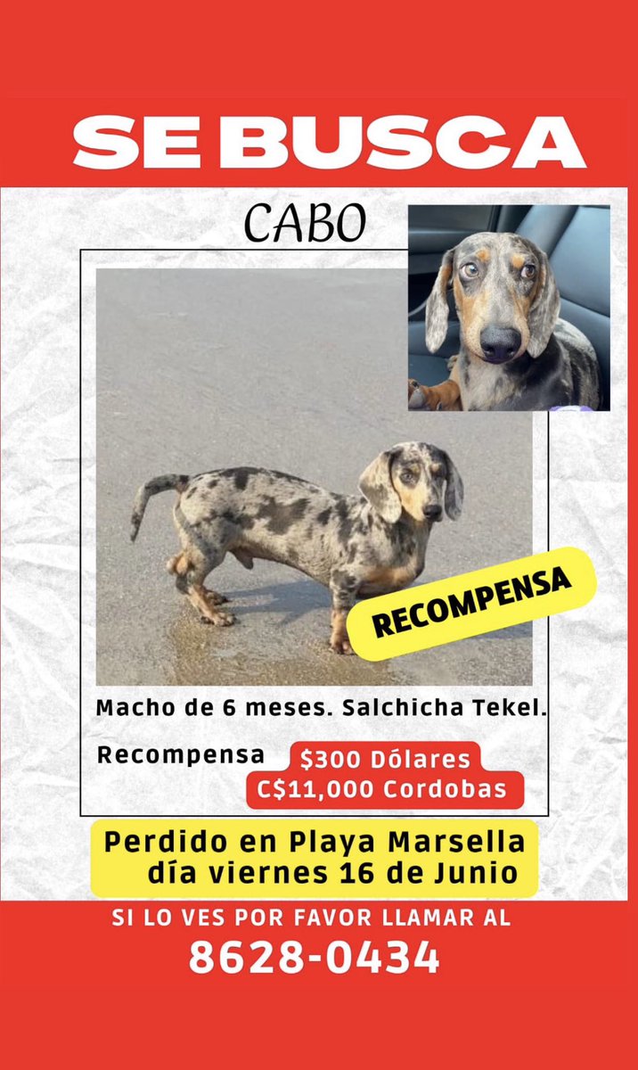 wichitocast's tweet photo. Ayúdenme a compartir 🙏🏻 https://t.co/rPOvU1ZESr