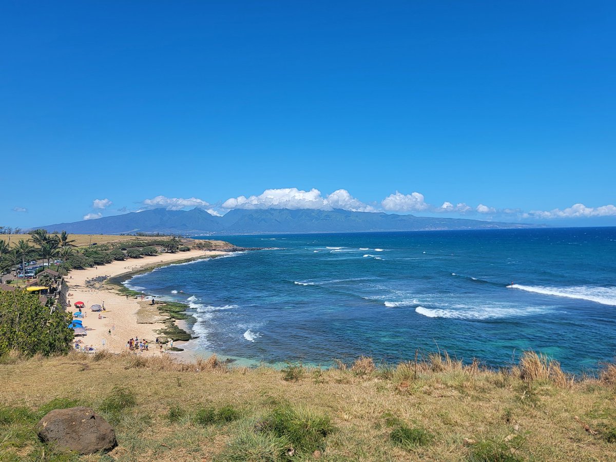 StephReports's tweet photo. Spent the weekend on Maui and had a post-wedding party with family there. Super grateful for this life. 💖 https://t.co/bzf3SAxfQA