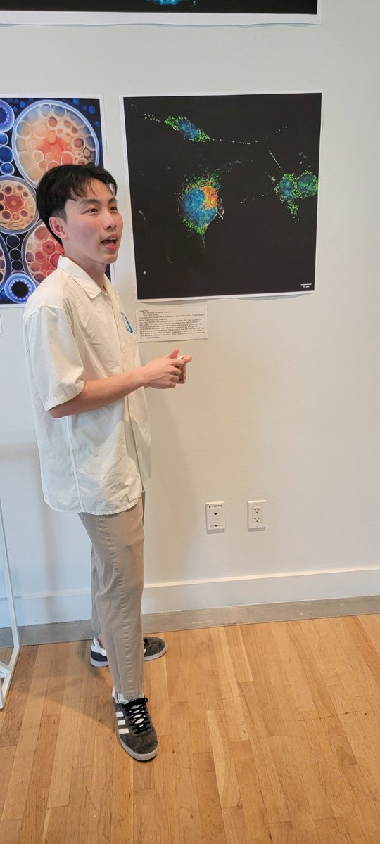 MysorekarLab's tweet image. So proud of @Long_B_Tran showing his gorgeous #SciArt #Zikv #Spider #TNTs @ASMicrobiology @asm_tmc matchouston.org