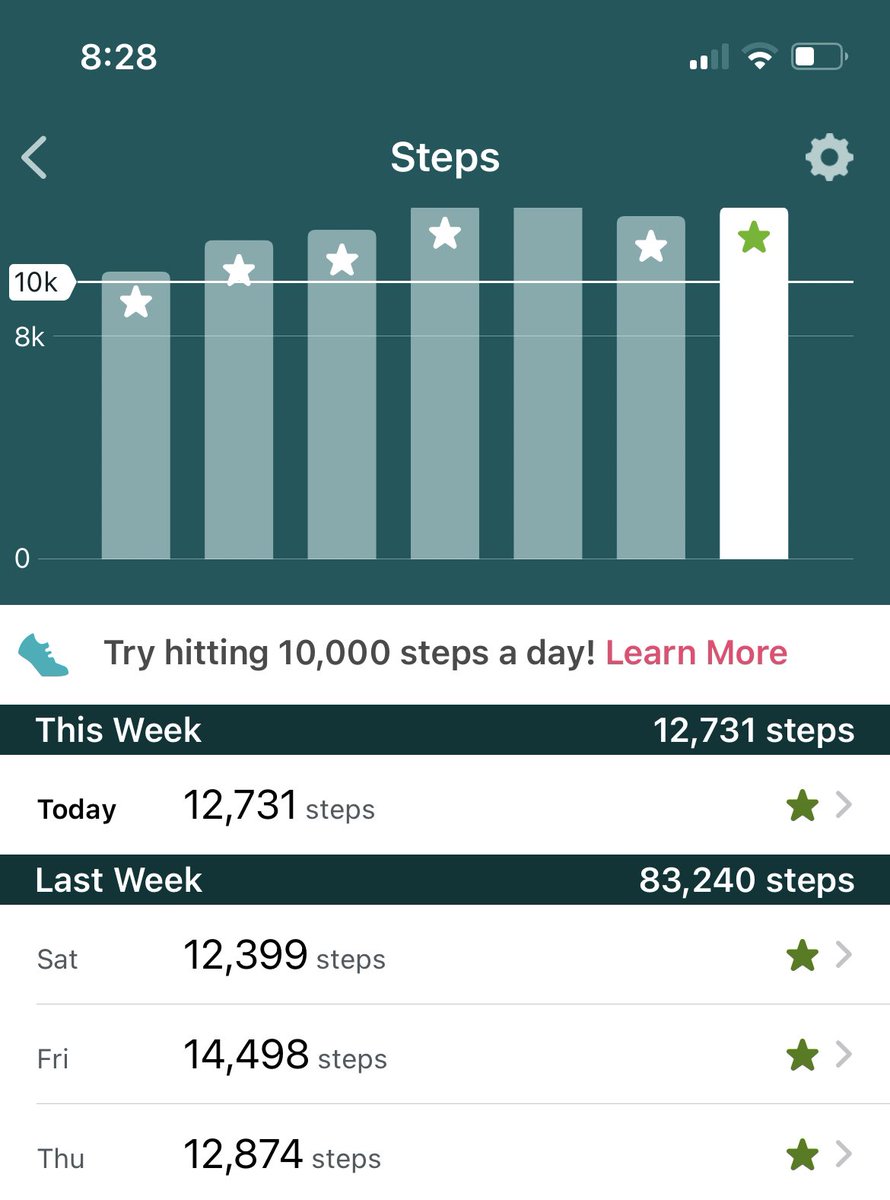 Summit Surfer Challenge week 3 day 4 update! We are crushing the 12k steps per day.  I didn’t think I was going to get it done, but I did! Keep on trucking! #summitsurferchallenge #livefree #conquermg #HappyFathersDay