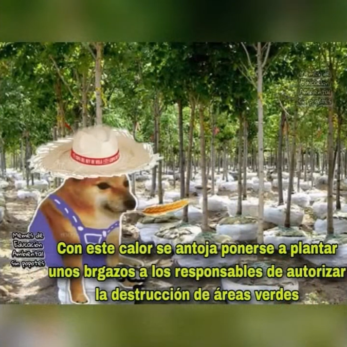 CocteauTwiins's tweet photo. No es el mejor pero sí el último. https://t.co/CVM0X4ln6s