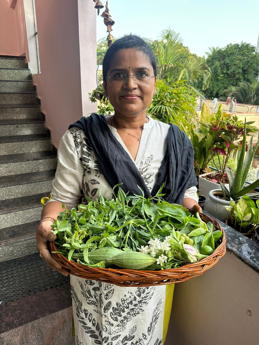 Gardening #terracegarden #organic #organicfarming #greens