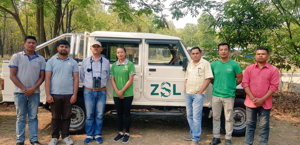Hem Sagar Baral (@worshipnature) on Twitter photo ZSL started working in Parsa National Park since 2014. Our team of dedicated staff at Parsa have assisted government leadership to increase 🐅numbers from 7 to 41 in less than a decade. A remarkable recovery path 😀🙏 <a href="/ZSLconservation/">ZSL Conservation</a> <a href="/PantheraCats/">Panthera</a> <a href="/ConserveWildCat/">WildCats Conservation Alliance</a> <a href="/DNPWC_Nepal/">DNPWC Nepal</a> ZSL started working in Parsa National Park since 2014. Our team of dedicated staff at Parsa have assisted government leadership to increase 🐅numbers from 7 to 41 in less than a decade. A remarkable recovery path 😀🙏 <a href="/ZSLconservation/">ZSL Conservation</a> <a href="/PantheraCats/">Panthera</a> <a href="/ConserveWildCat/">WildCats Conservation Alliance</a> <a href="/DNPWC_Nepal/">DNPWC Nepal</a>