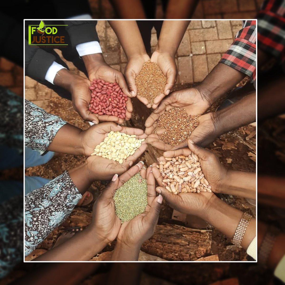 foodjusticenet's tweet photo. Seed is the backbone of food systems.  We reiterate the call to amend Zimbabwe's Seed Act to enable communities to be food sovereign. https://t.co/ymecMT6Ykz