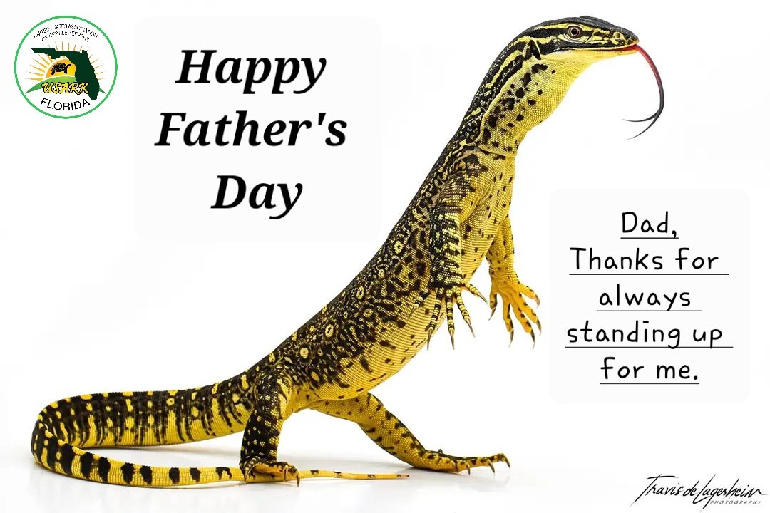 USARKFlorida's tweet photo. Happy Father's Day to all the papa herpers out there!
Photo of Argus monitor by Travis DeLagerheim
#happyfathersday #fathersday #lizards #monitor #monitorlizards #monitorlizardsofinstagram #herplife #reptiles https://t.co/ivJB8RpZAb