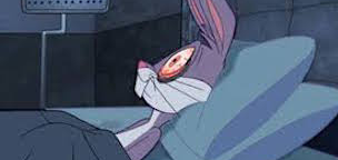 Darcy DeClute | Scrum | Python | GitHub | Java | X tweet media