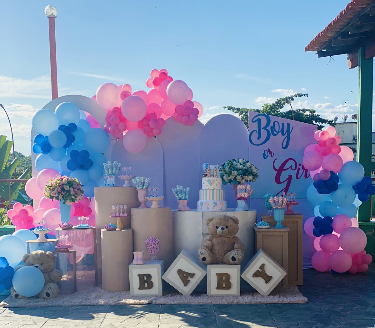 Boy or girl ? 💙💗💙💗💙

#Chárevelação #Chalindo 🥰

Deus é fiel 🙏🏽