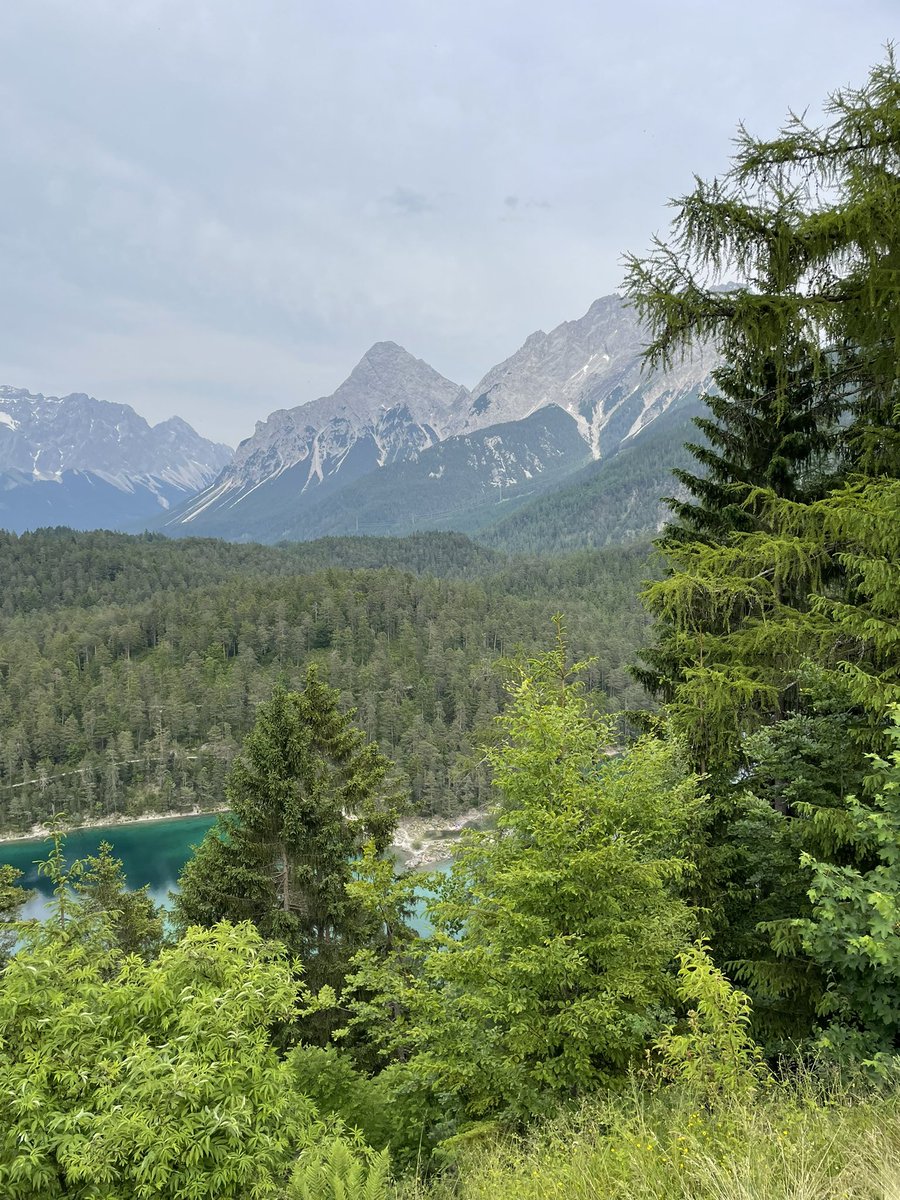 Mark Stanton tweet media