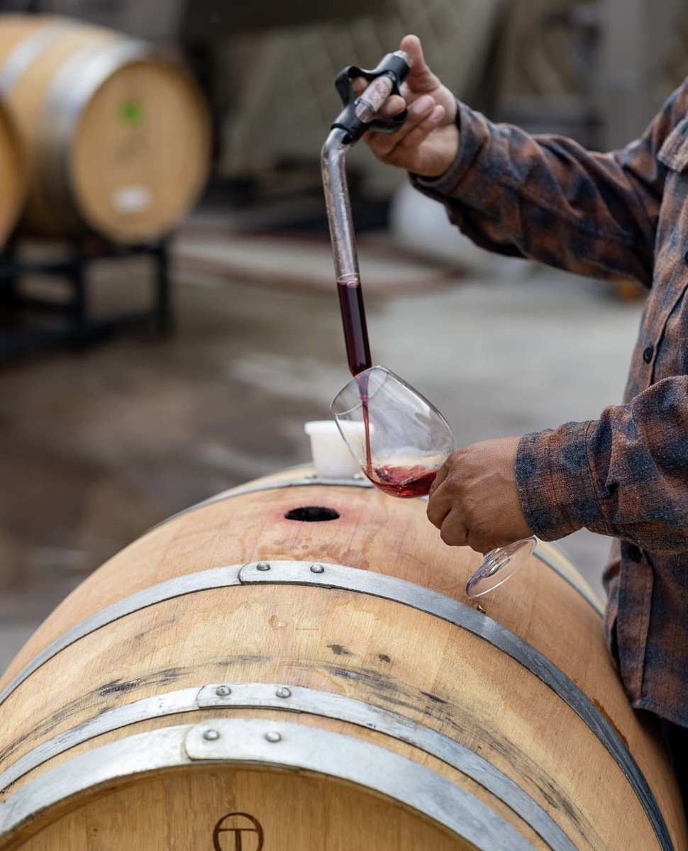 It’s a day of barrel sampling today. This particular beauty that Renato is tasting is #zinfandel 

#avensolewinery #visittemecula #liveglassfull
