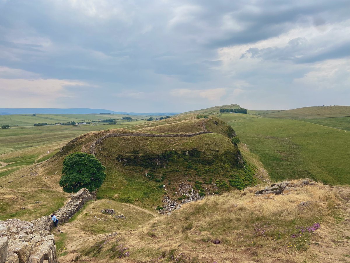Walked from Steel Rigg to Housesteads and back today. #HadriansWall #SycamoreGap #NorthumberlandNationalPark