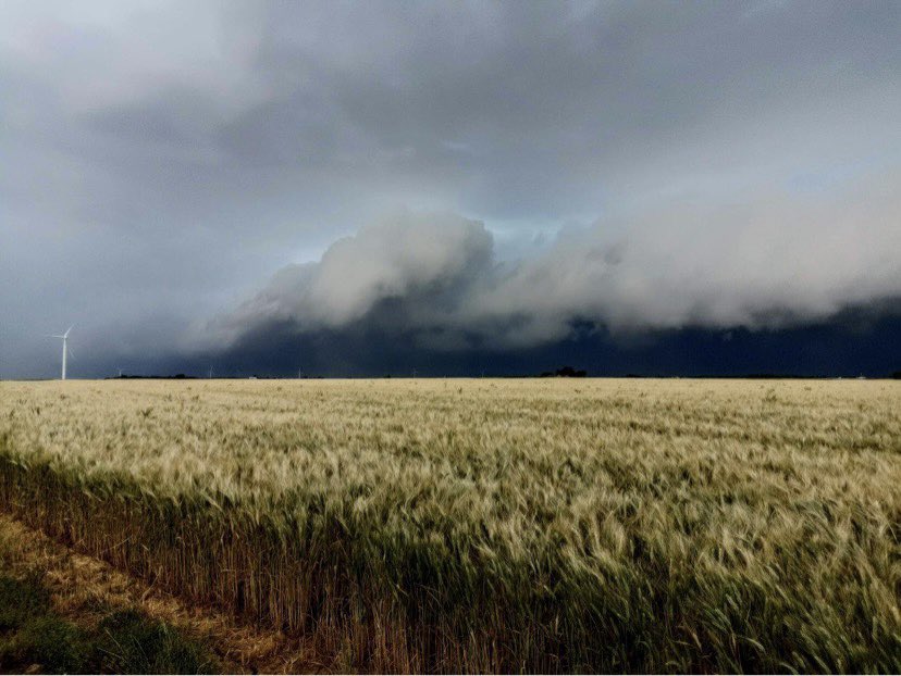 AssoMeteoCVDL's tweet photo. [Ambiance orageuse en Eure-et-Loir ce dimanche] Superbe #arcus observé ce dimanche, en fin d’après-midi, en #EureEtLoir, près de Lumeau, à l’avant de la ligne orageuse. Photos : Honoré Lng. #orage #orages https://t.co/TLV21eBfV1