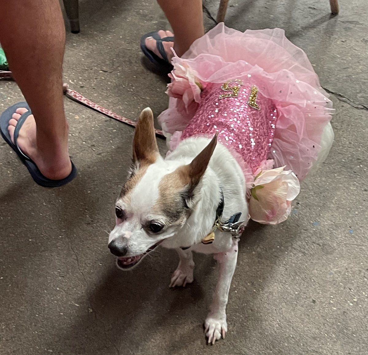 Beachbum Berry's Latitude 29 tweet media