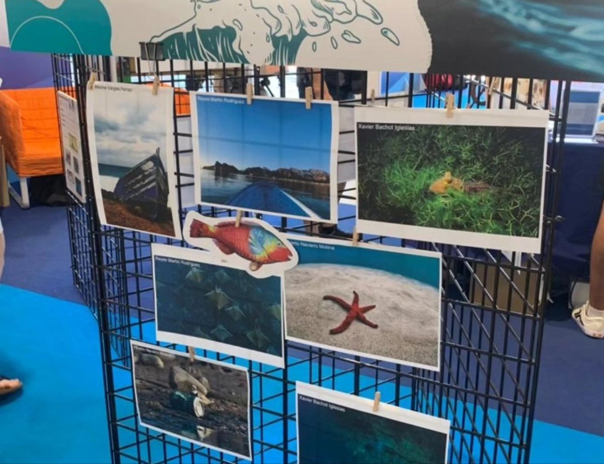 fccmar_ulpgc's tweet image. Último día de #Fimar 2023. Nos vemos en FIMAR 2024