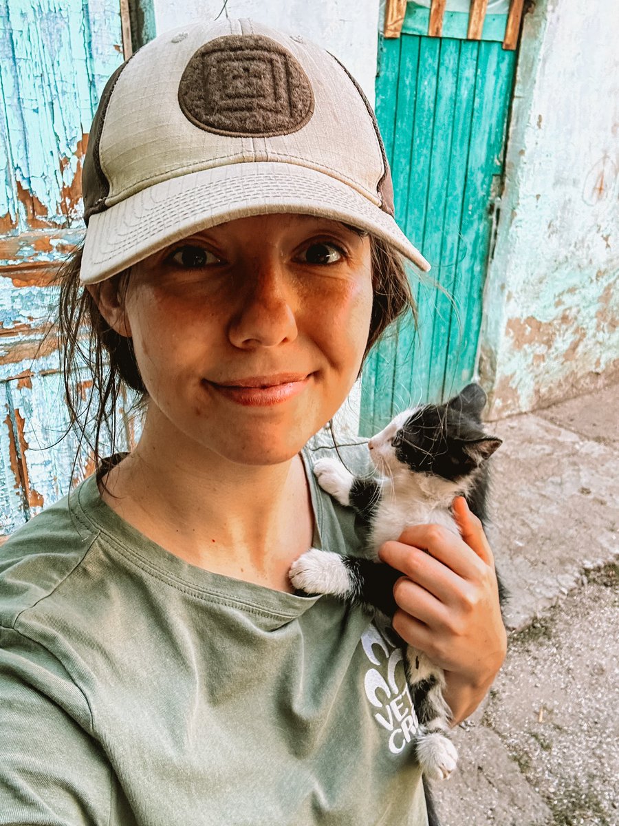 Vet Crew tweet media