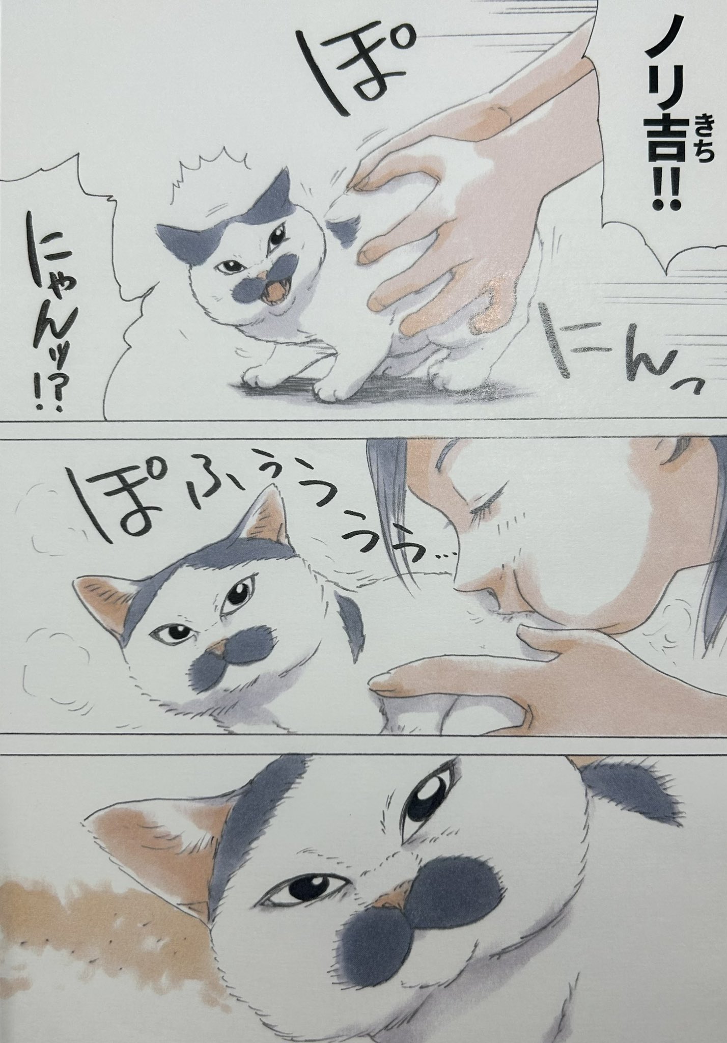 にごたろ on X: 