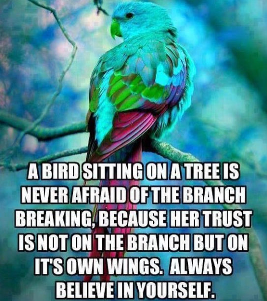 💙Zeee💜 (@satnamzeee) on Twitter photo 