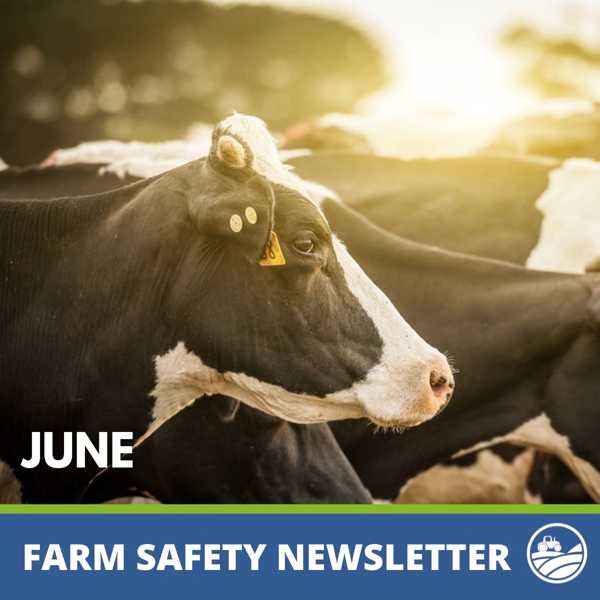 VFFMOFS's tweet photo. @VFFMOFS June #FarmSafetyNewsletter has landed! Read the latest in industry news,we talk about farm PPE,Q-Fever & share details from @FarmerHealth on their upcoming webinar on #ShiftingGears & @WorkSafe_Vic #worksafeawards Read it here๐https://t.co/yXHvYwLKp7 https://t.co/yHwKxQvTkd