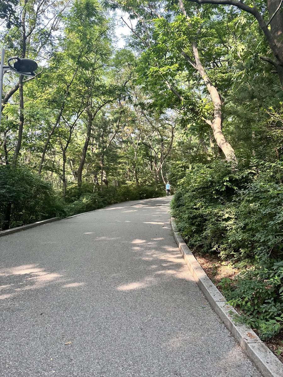 晨跑🏃‍♀️自律即自由 https://t.co/A62aLDnm6N
